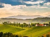 Vinmarker i det sydlige Steiermark, Østrig