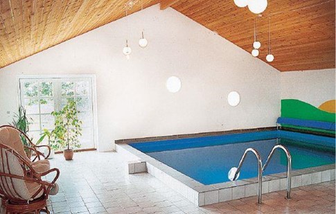 luksus pool sommerhus på mors_160-B6302