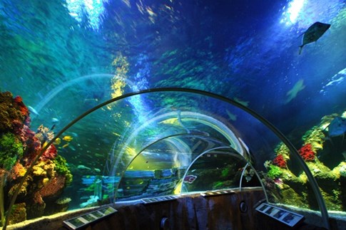 SEA LIFE Timmendorfer Strand