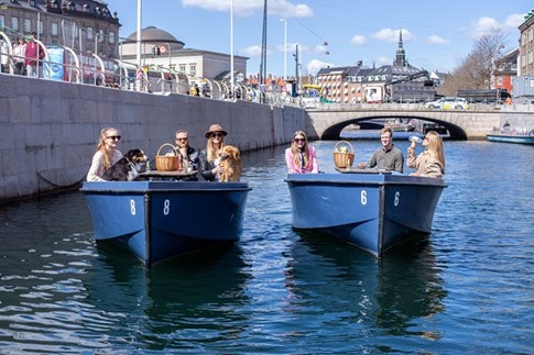 En gruppe med hunde på tur i en GoBoat