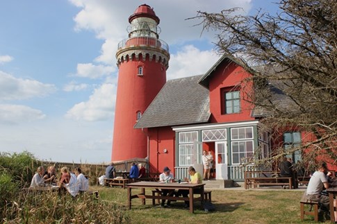 Hygge i fyrhaven ved Bovbjerg Fyr