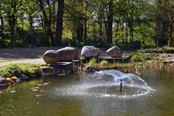 Park ved kurbadet i byen Soltau