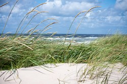 Hav og klitter ved Hvide Sande