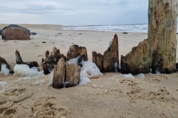 Hvidbjerg Strand nær Blåvand