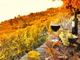 Billede fra Frankrig af vin og ost på et bord i en vinmark