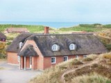 luksus sommerhus udlejning vestjylland_130-P32235