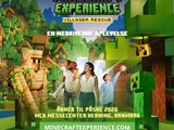 Minecraft Experience: Villager Rescue