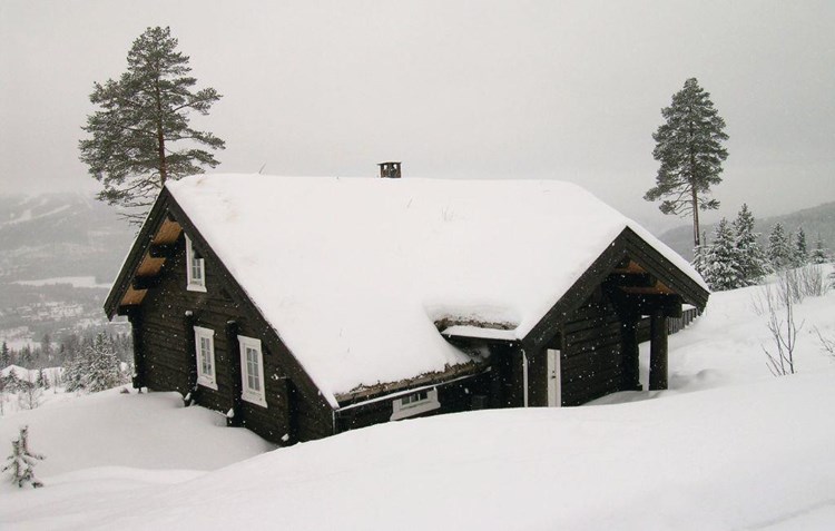 Hyggeligt og veludstyret feriehus til 10 personer beliggende højt oppe i Bjønnåsen Hyttegrend kun 5 km fra skianlæggende i Trysilfjellet.