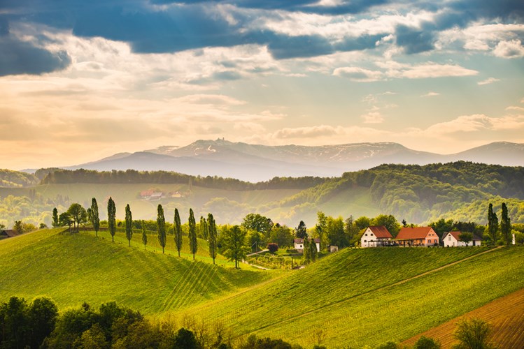 Vinmarker i det sydlige Steiermark, Østrig