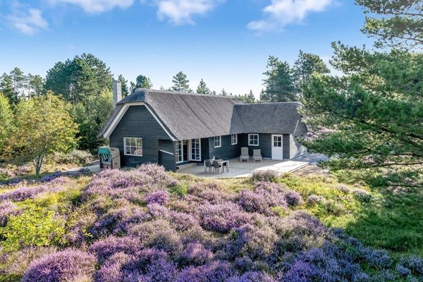 Hyggeligt sommerhus med stråtag på Rømø