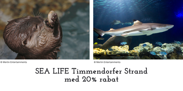 SEA LIFE Timmendorfer strand med 20% rabat