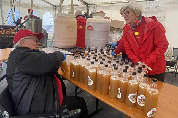 Presning af æblemost (20 tons æbler) som sælges i teltene til Ebelfestival i Ebeltoft