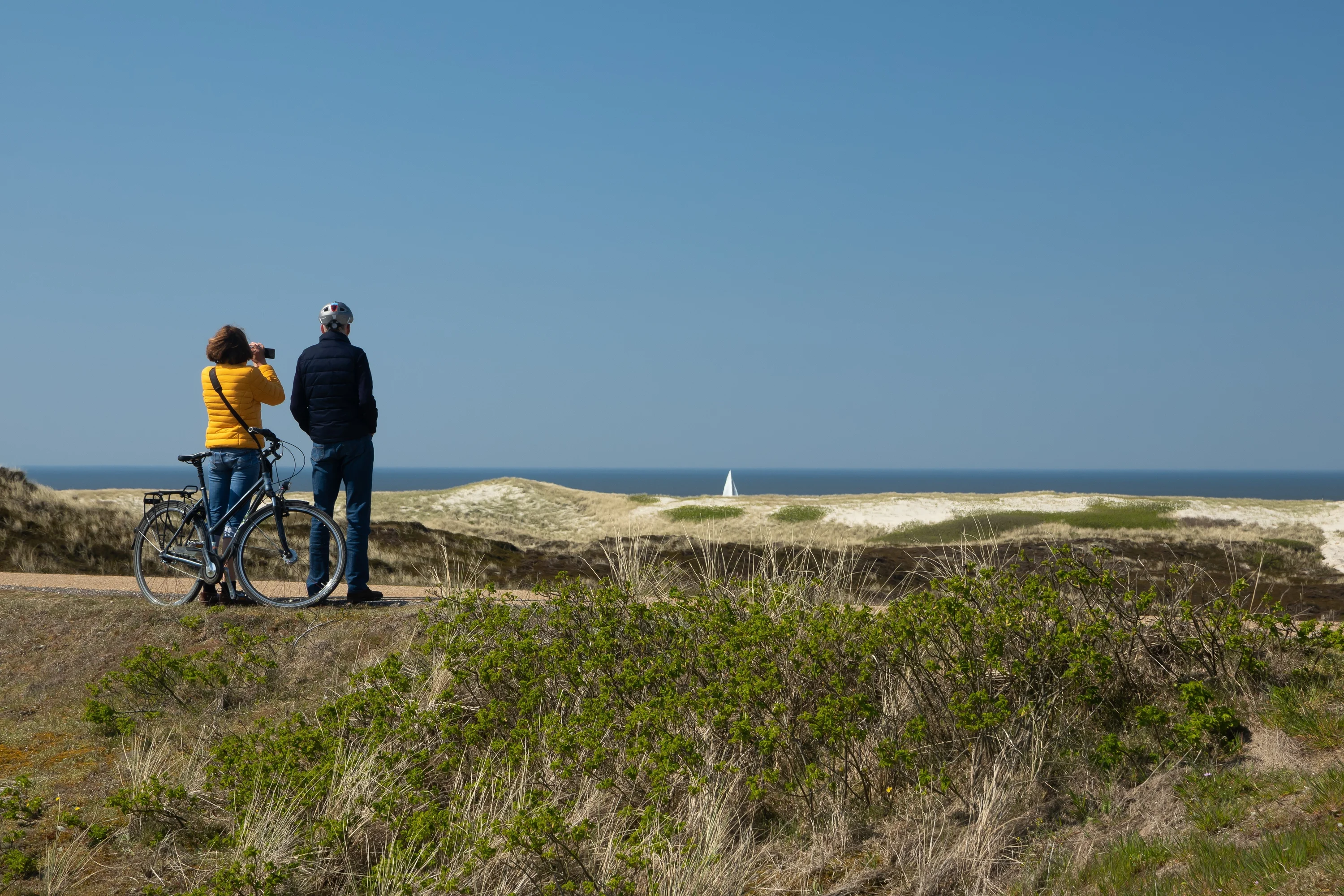 Sylt