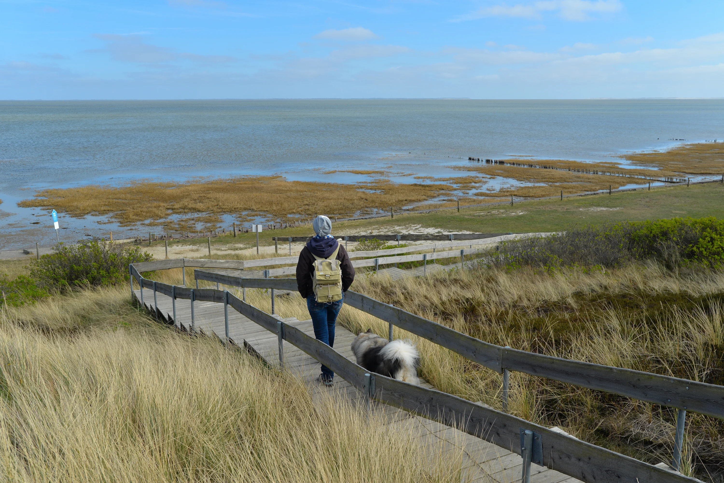 Vandretur med hund på Sylt