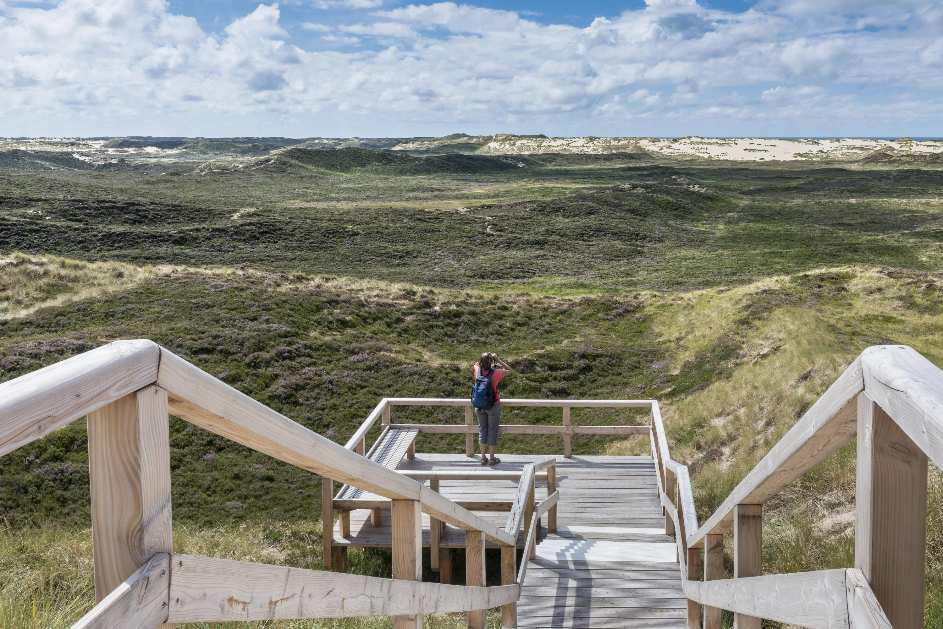 Vandreruter langs hav, klitter og hede på Sylt