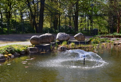 Park ved kurbadet i byen Soltau