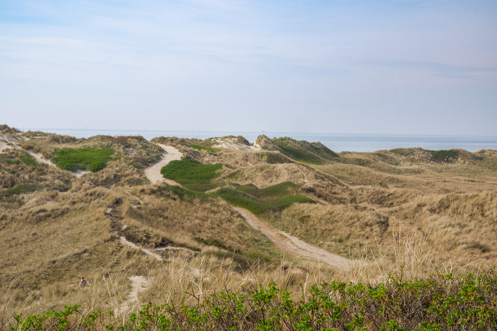Holmsland Klit ved Hvide Sande