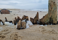 Hvidbjerg Strand nær Blåvand