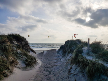 Drager på stranden ved Blåvand