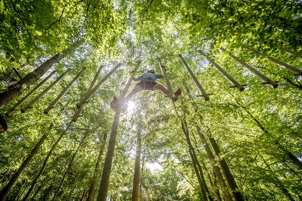 Camp Adventure klatrepark