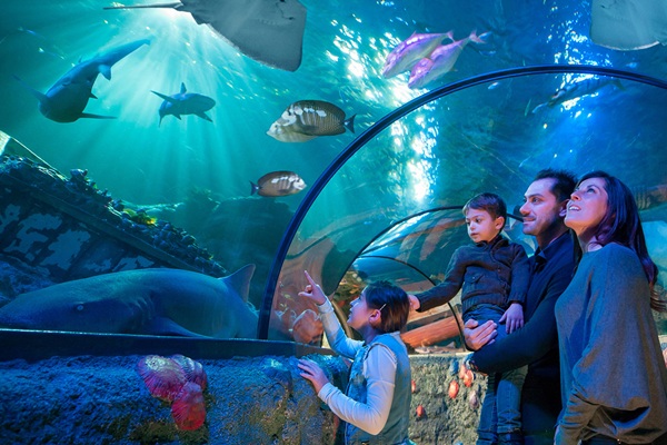 Gardaland SEA LIFE Aquarium