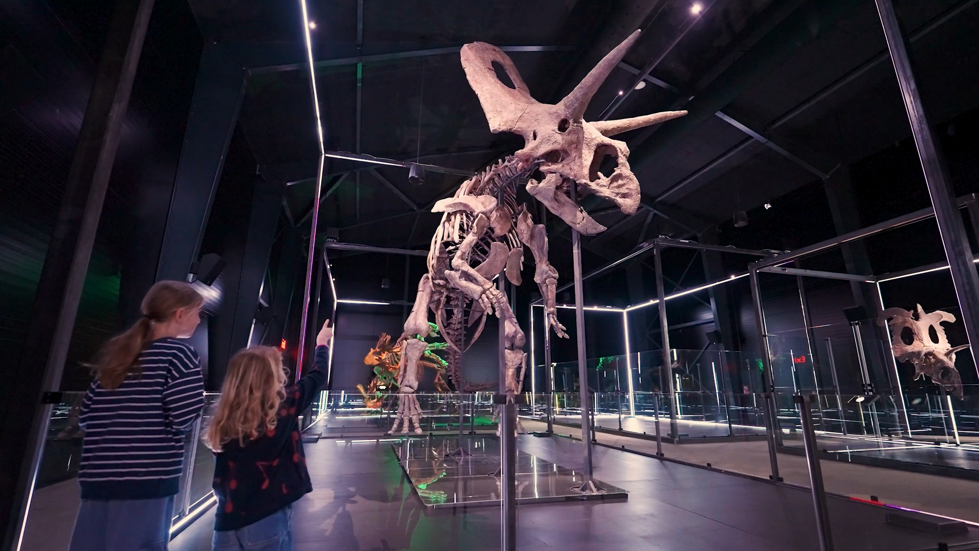 Evolutionsmuseet 