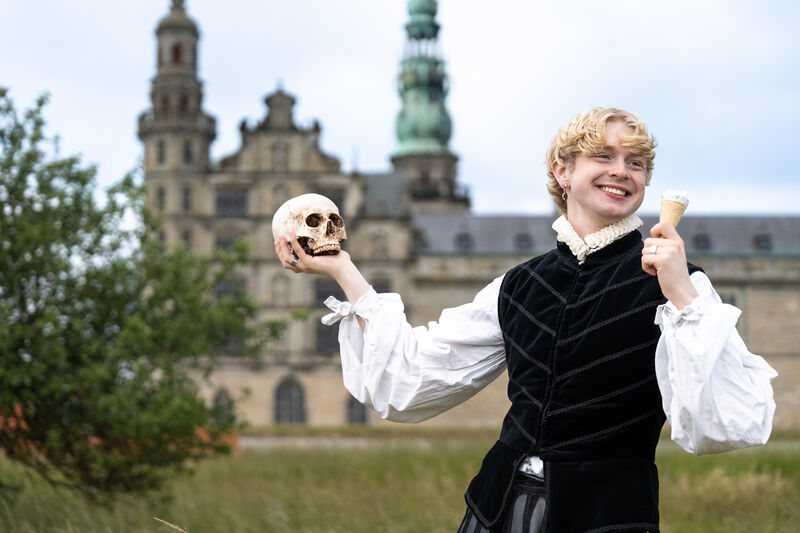 Sommer Hamlet med is