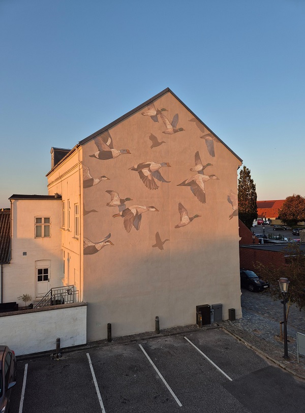 Aquatic Birds i aftensol