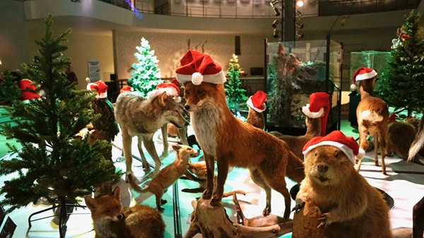 Jul Naturama