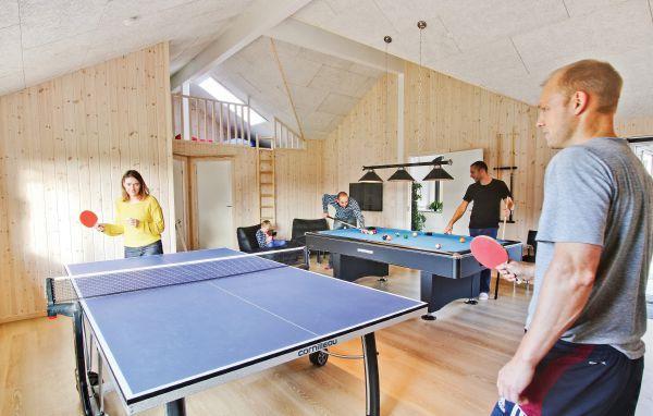 luksus sommerhus på als med aktivitetsrum_160-D1246
