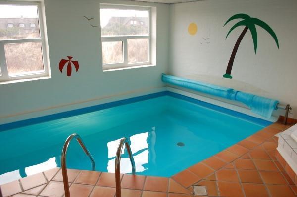 luksus sommerhus i danmark til leje pool_100-V50093-2015-1